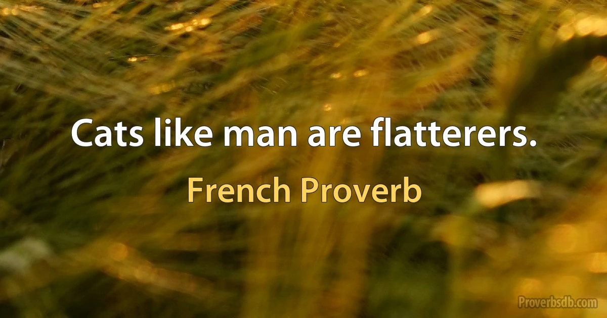 Cats like man are flatterers. (French Proverb)