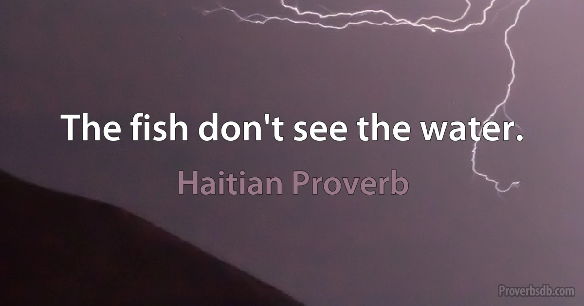 The fish don't see the water. (Haitian Proverb)