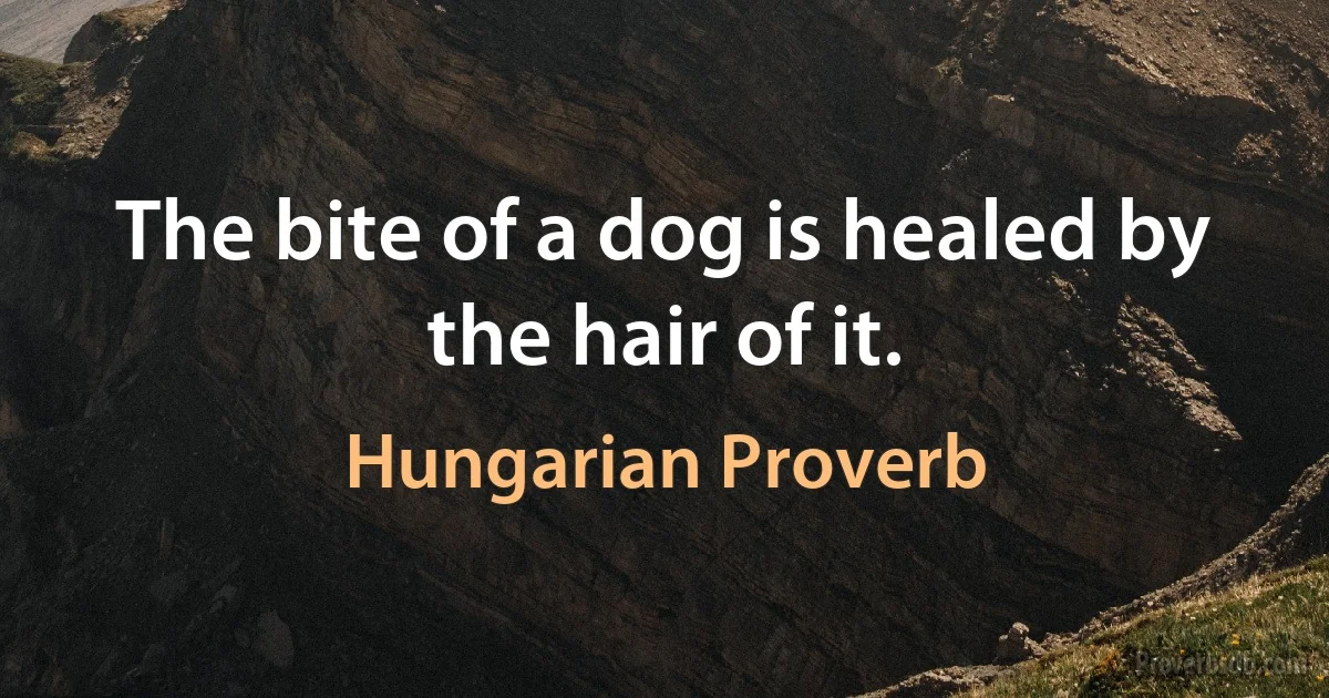 The bite of a dog is healed by the hair of it. (Hungarian Proverb)