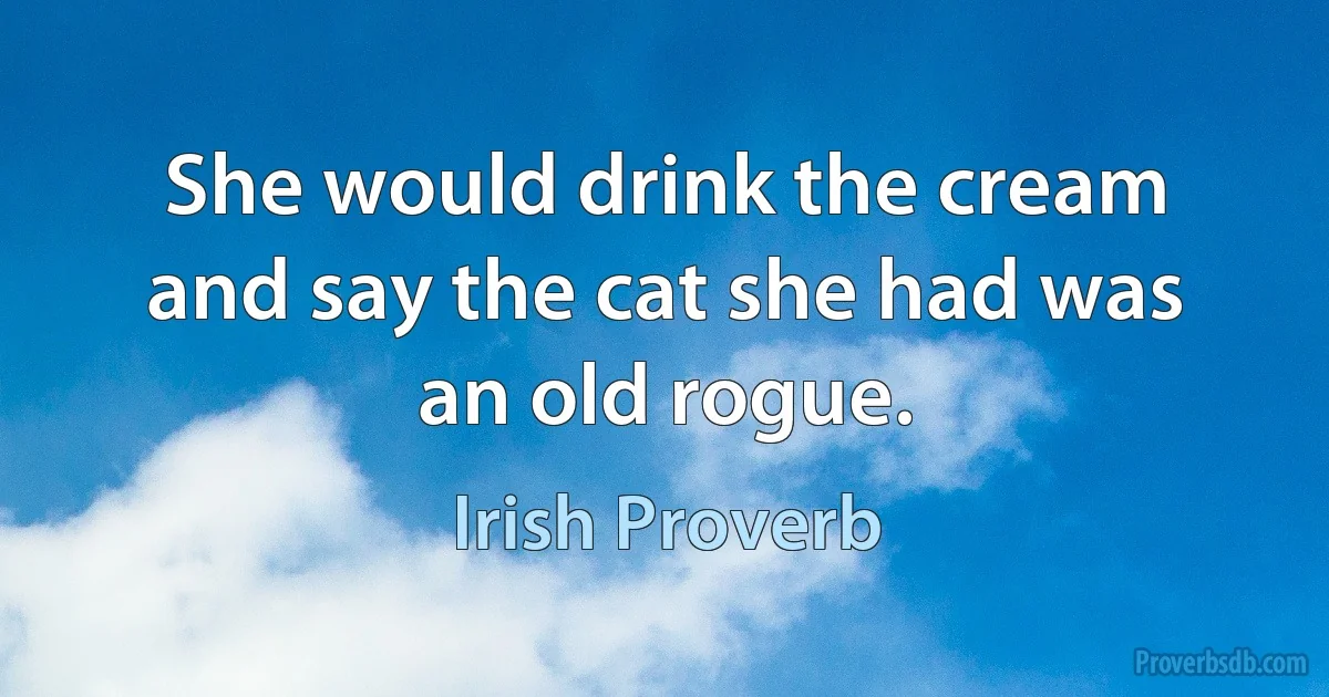 She would drink the cream and say the cat she had was an old rogue. (Irish Proverb)