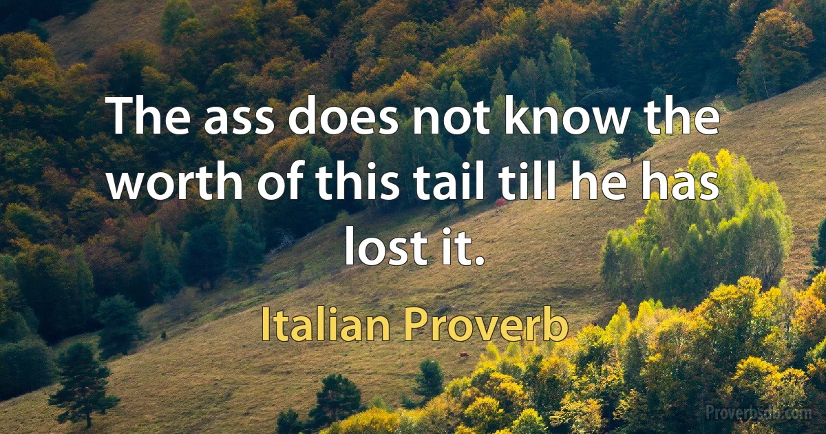 The ass does not know the worth of this tail till he has lost it. (Italian Proverb)