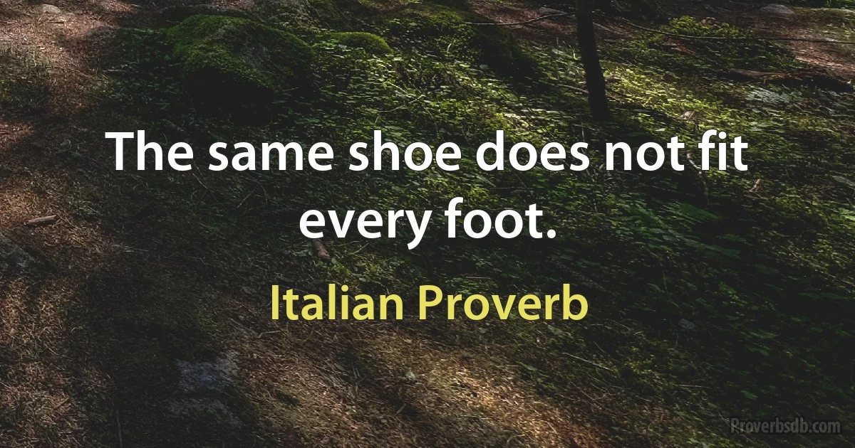 The same shoe does not fit every foot. (Italian Proverb)