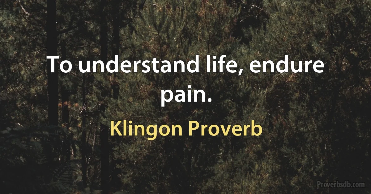 To understand life, endure pain. (Klingon Proverb)