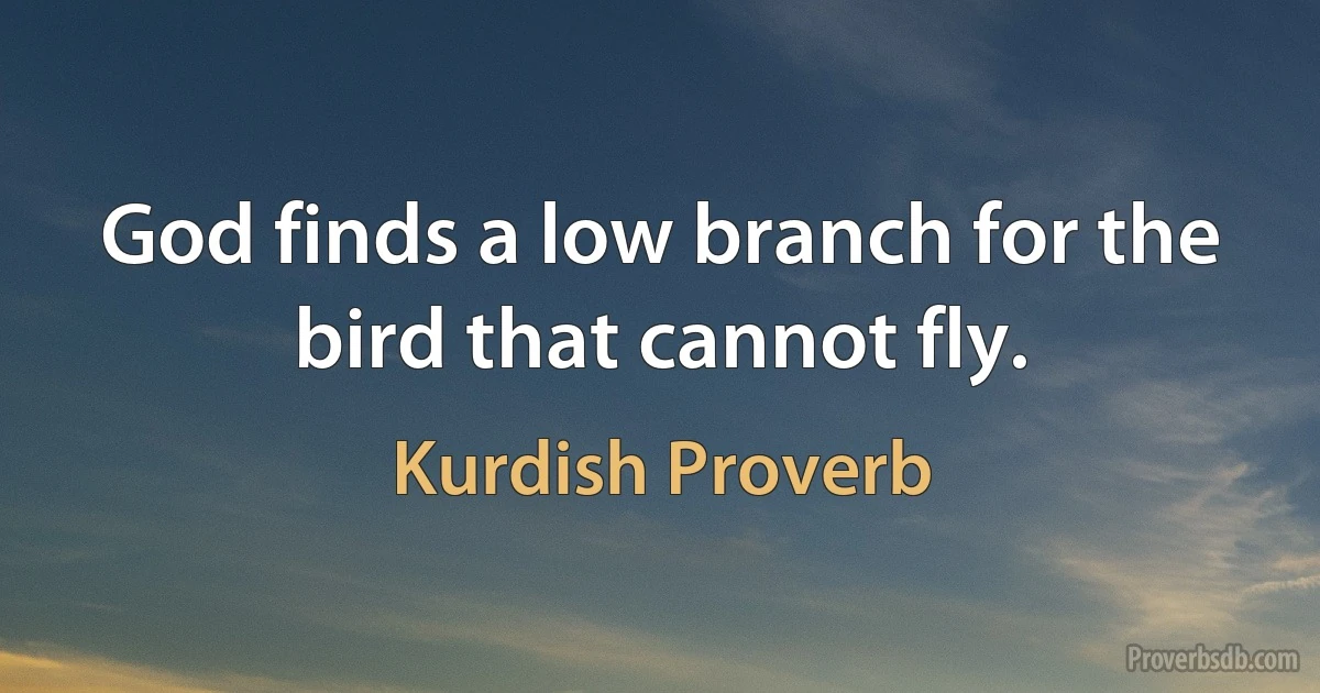 God finds a low branch for the bird that cannot fly. (Kurdish Proverb)