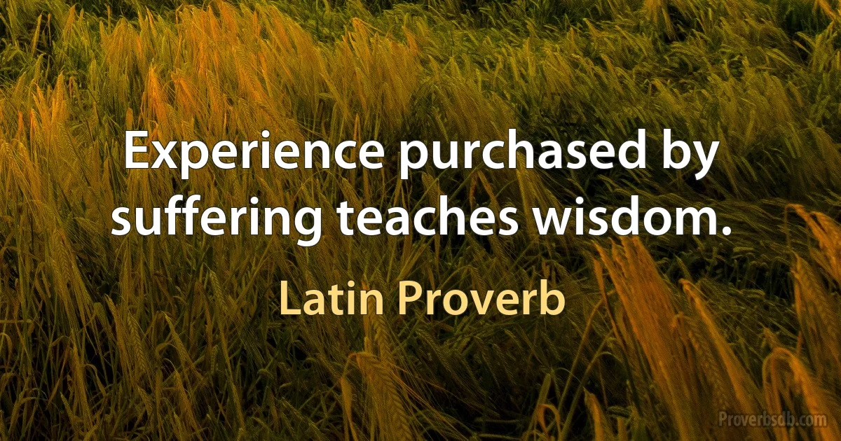 Experience purchased by suffering teaches wisdom. (Latin Proverb)