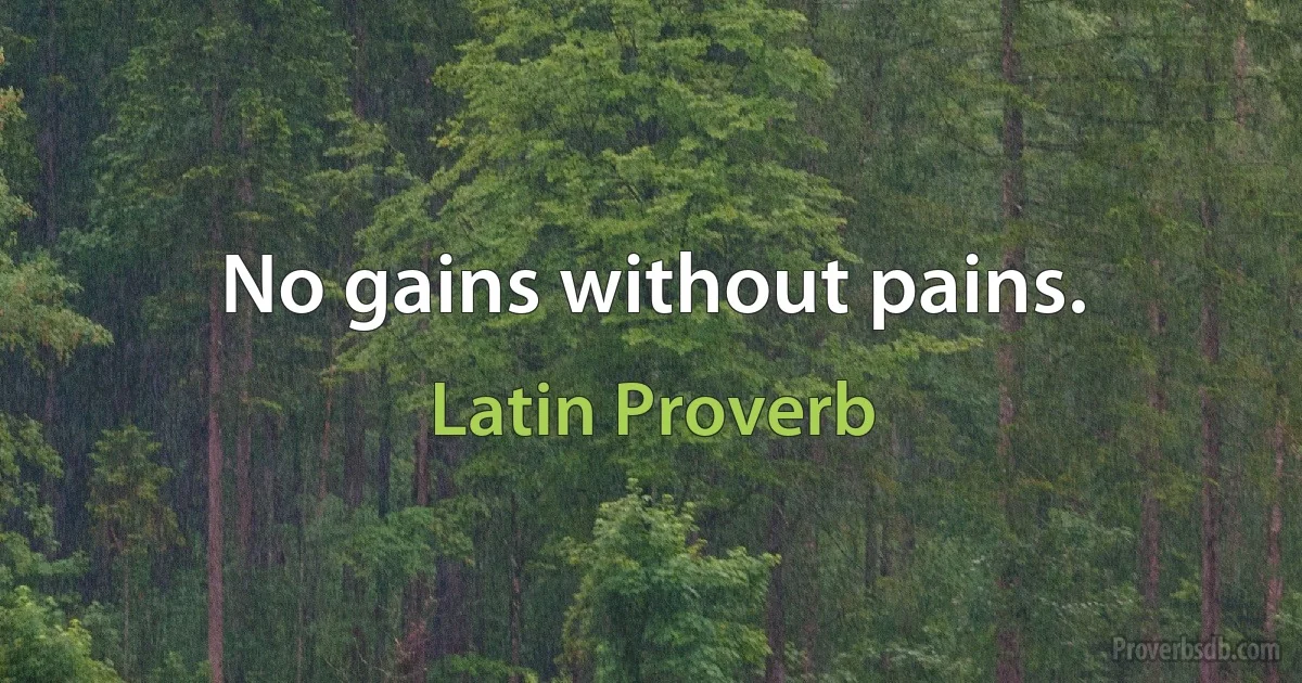 No gains without pains. (Latin Proverb)