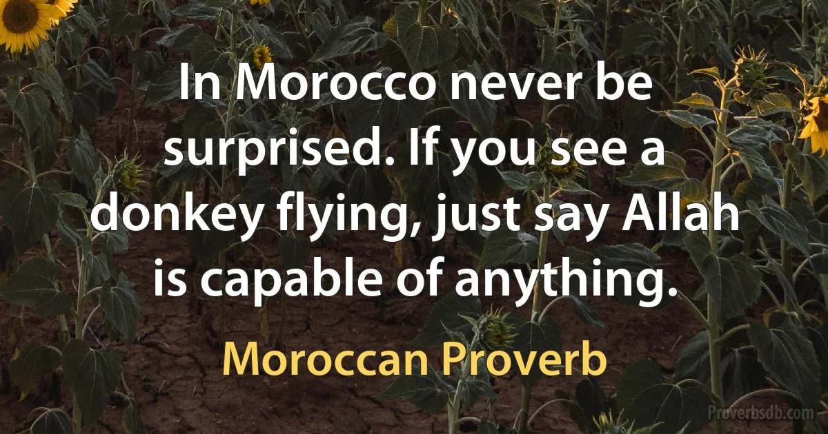 In Morocco never be surprised. If you see a donkey flying, just say Allah is capable of anything. (Moroccan Proverb)