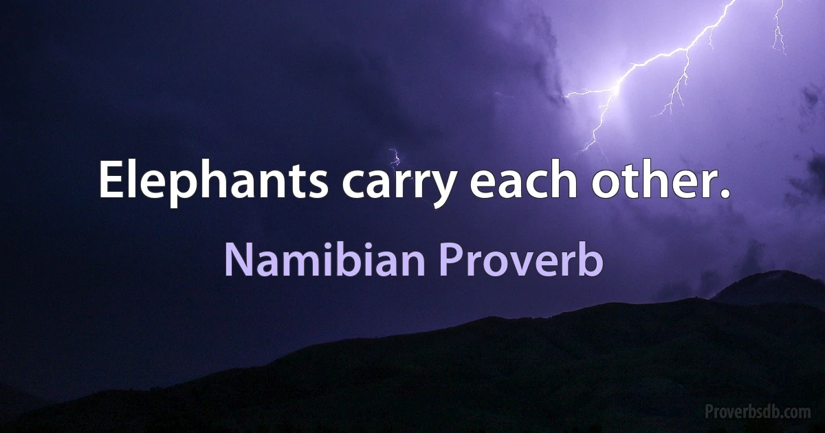 Elephants carry each other. (Namibian Proverb)