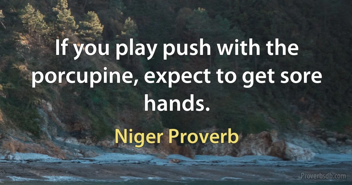 If you play push with the porcupine, expect to get sore hands. (Niger Proverb)