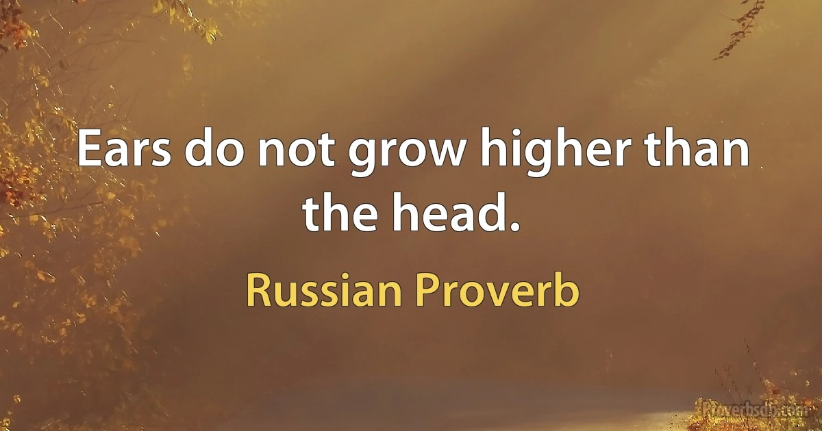 Ears do not grow higher than the head. (Russian Proverb)