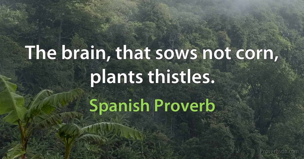 The brain, that sows not corn, plants thistles. (Spanish Proverb)