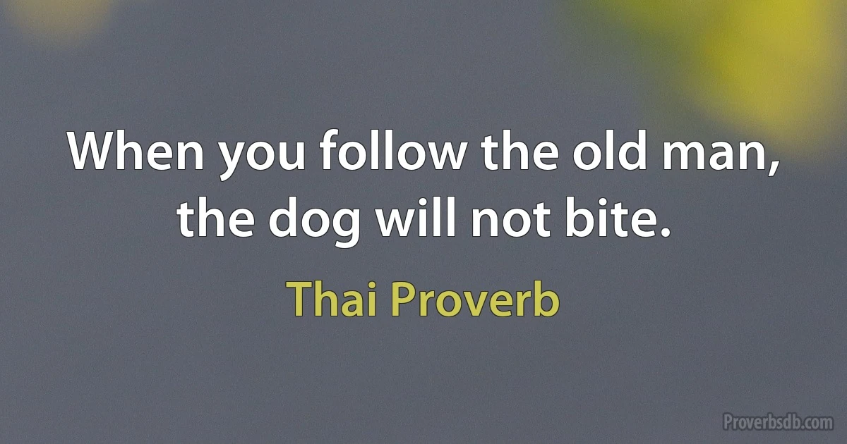 When you follow the old man, the dog will not bite. (Thai Proverb)