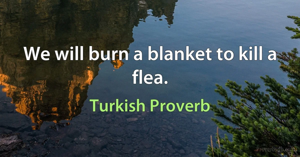 We will burn a blanket to kill a flea. (Turkish Proverb)