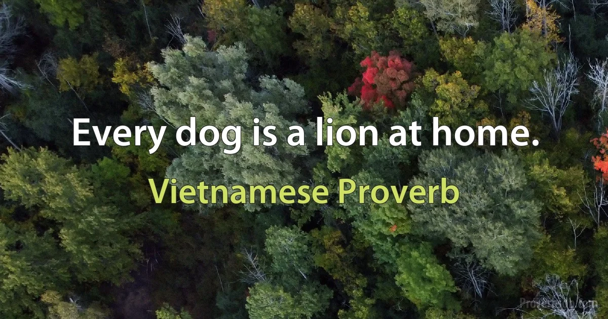 Every dog is a lion at home. (Vietnamese Proverb)