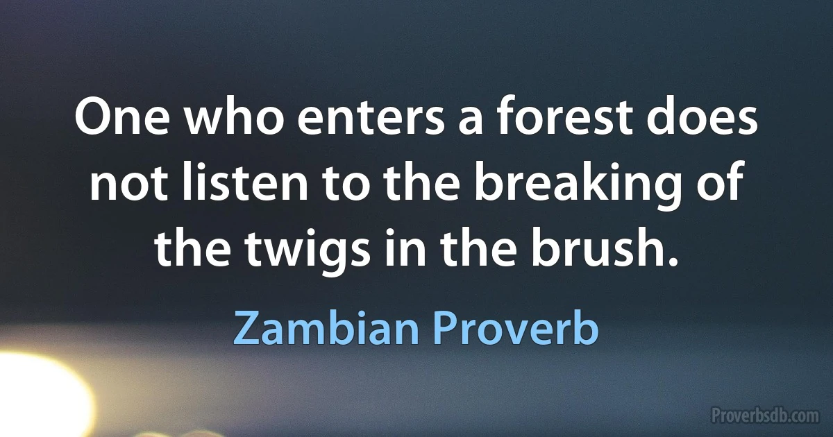 One who enters a forest does not listen to the breaking of the twigs in the brush. (Zambian Proverb)