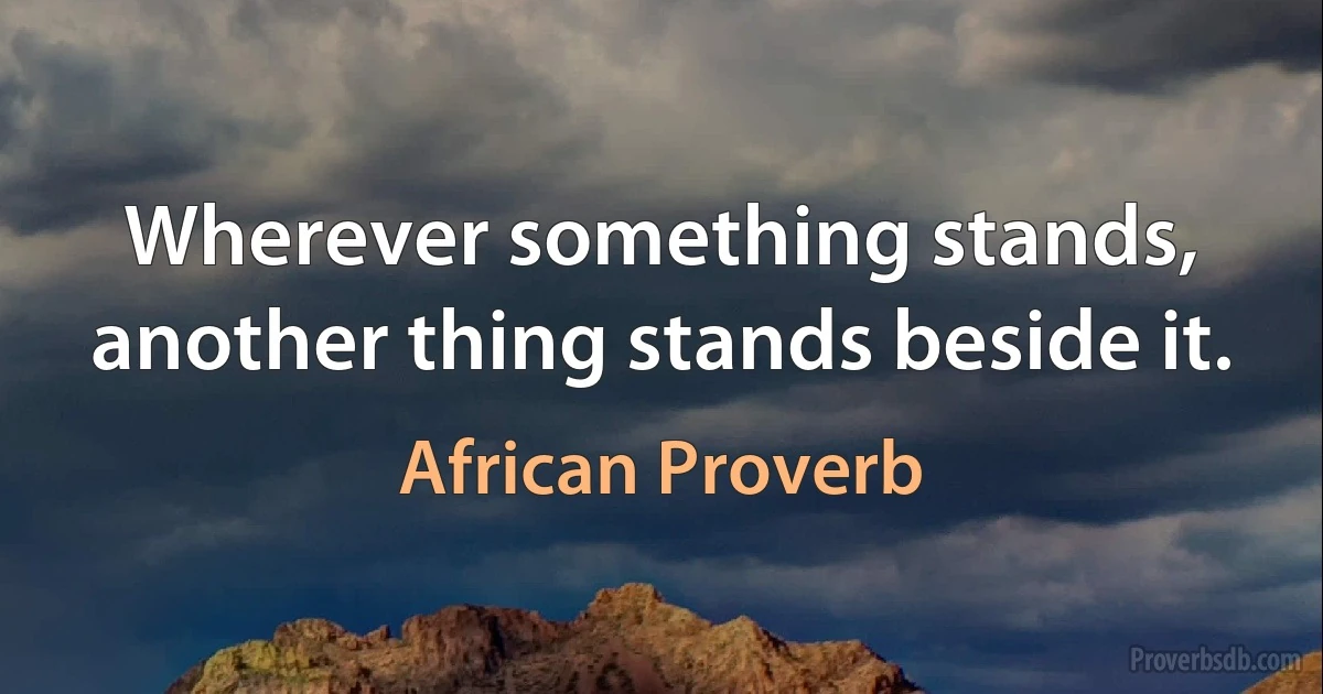 Wherever something stands, another thing stands beside it. (African Proverb)