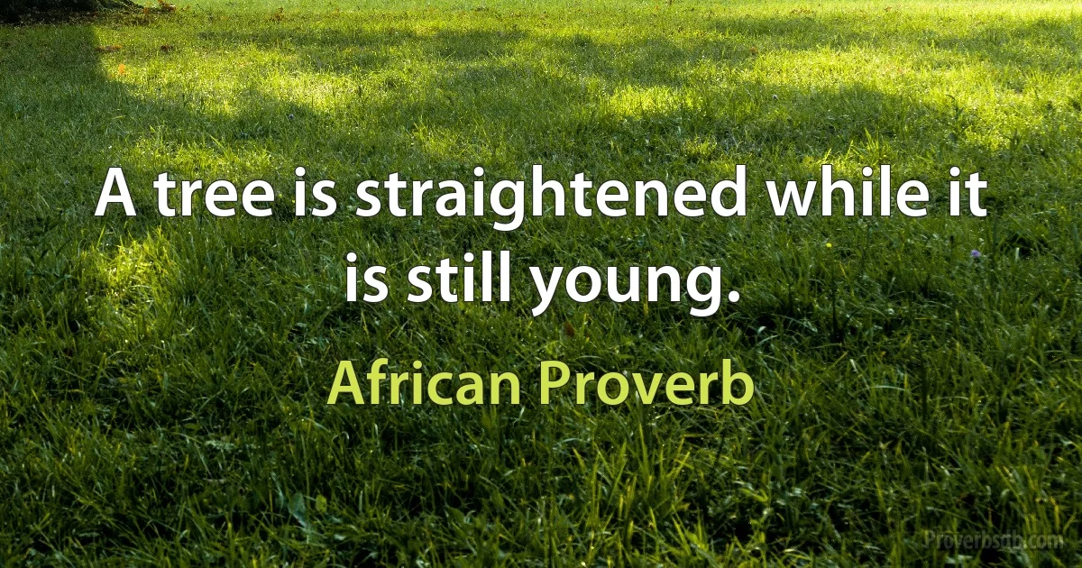 A tree is straightened while it is still young. (African Proverb)