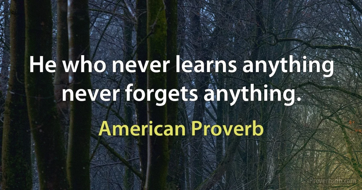 He who never learns anything never forgets anything. (American Proverb)