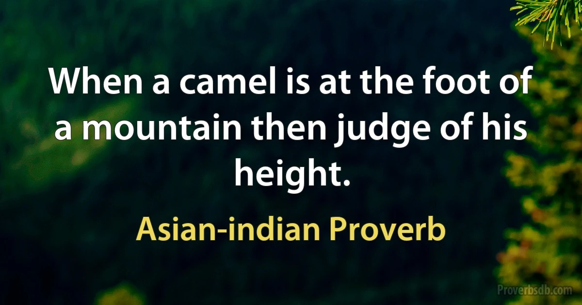 When a camel is at the foot of a mountain then judge of his height. (Asian-indian Proverb)