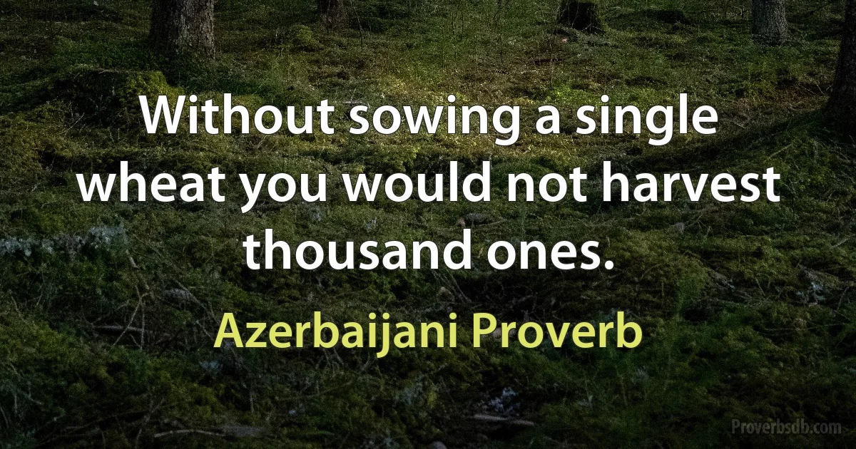 Without sowing a single wheat you would not harvest thousand ones. (Azerbaijani Proverb)