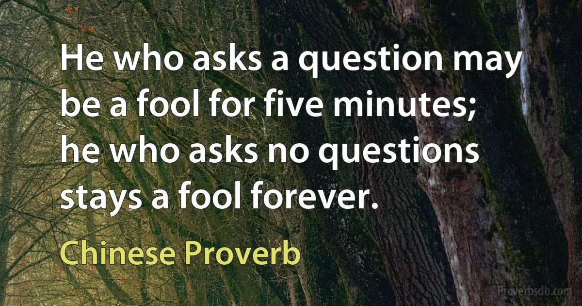 He who asks a question may be a fool for five minutes; he who asks no questions stays a fool forever. (Chinese Proverb)