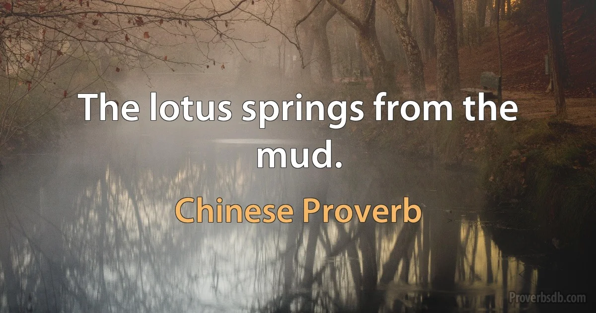 The lotus springs from the mud. (Chinese Proverb)