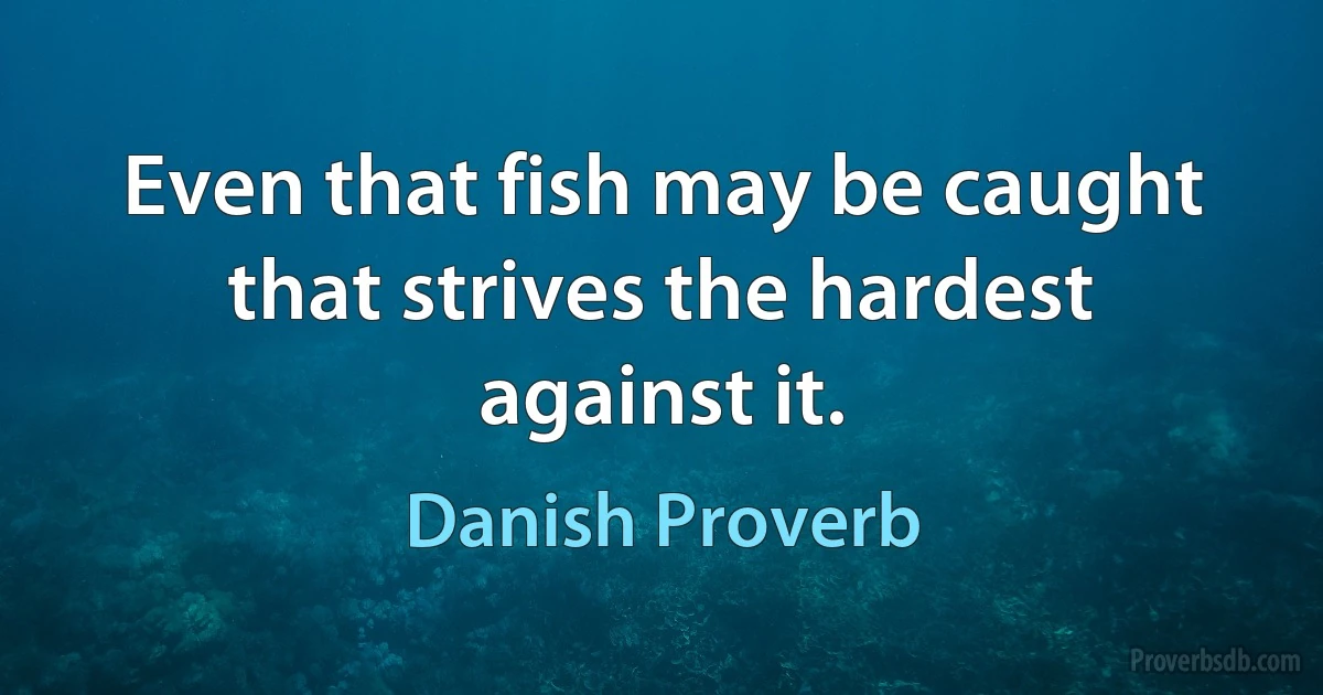 Even that fish may be caught that strives the hardest against it. (Danish Proverb)