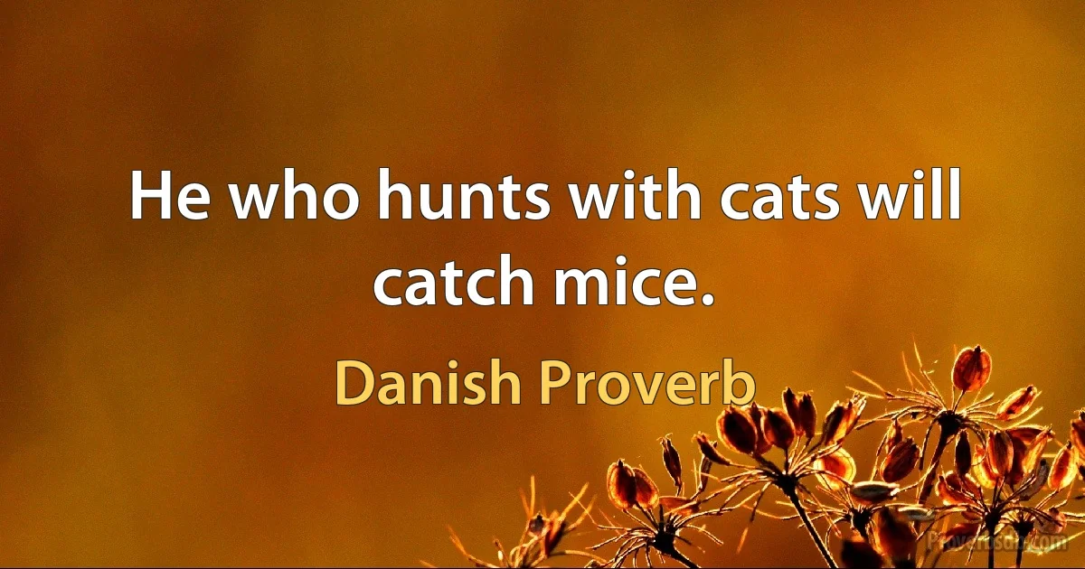 He who hunts with cats will catch mice. (Danish Proverb)