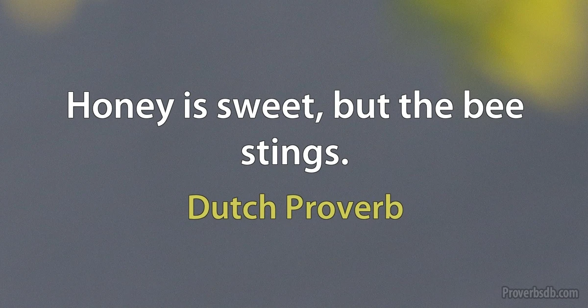 Honey is sweet, but the bee stings. (Dutch Proverb)