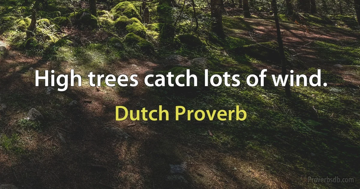 High trees catch lots of wind. (Dutch Proverb)