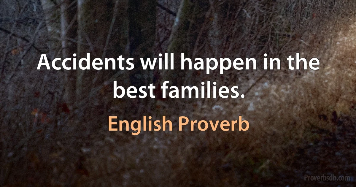 Accidents will happen in the best families. (English Proverb)