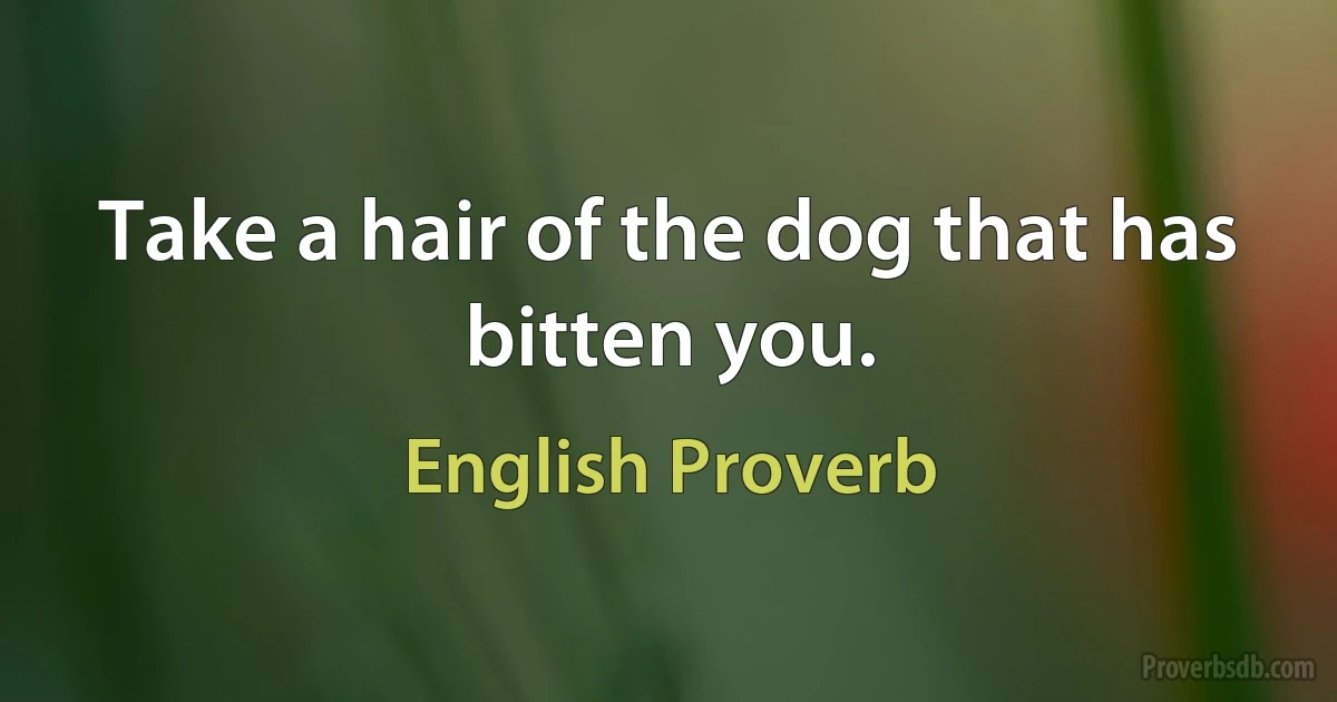 Take a hair of the dog that has bitten you. (English Proverb)