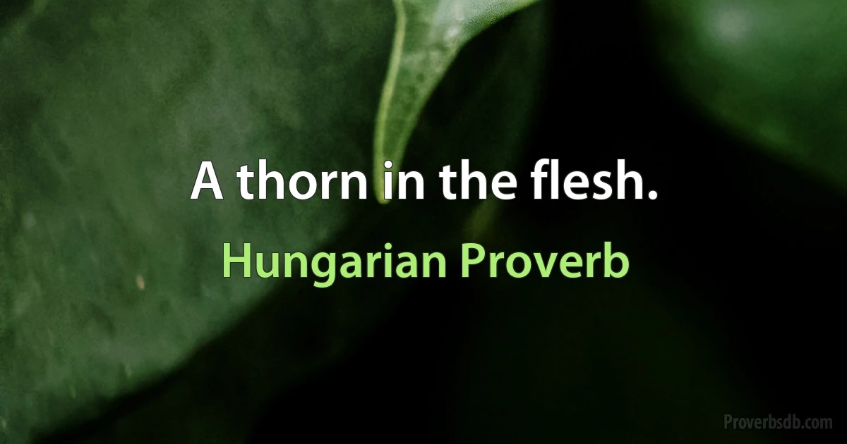 A thorn in the flesh. (Hungarian Proverb)