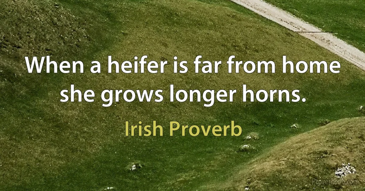 When a heifer is far from home she grows longer horns. (Irish Proverb)