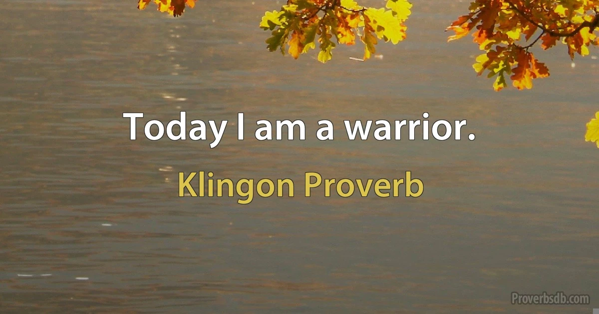 Today I am a warrior. (Klingon Proverb)