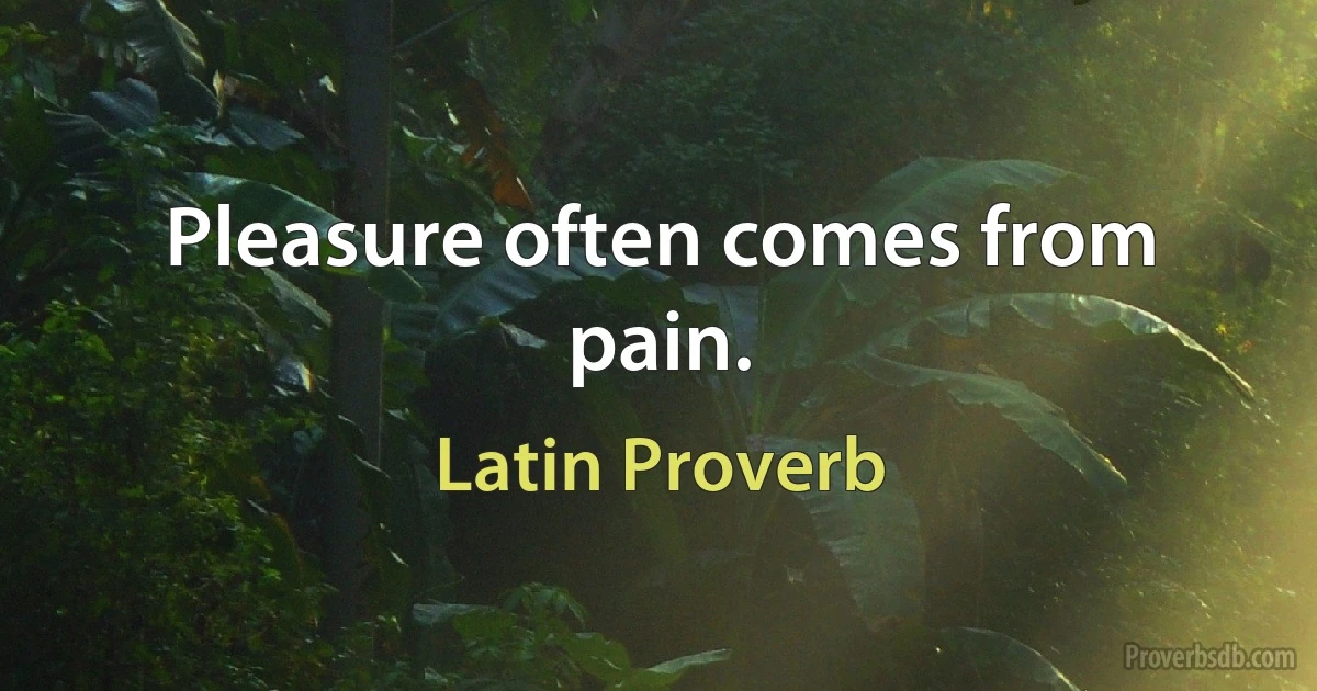 Pleasure often comes from pain. (Latin Proverb)