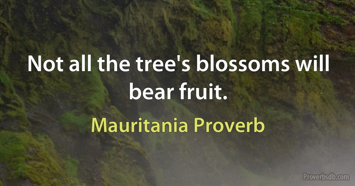 Not all the tree's blossoms will bear fruit. (Mauritania Proverb)