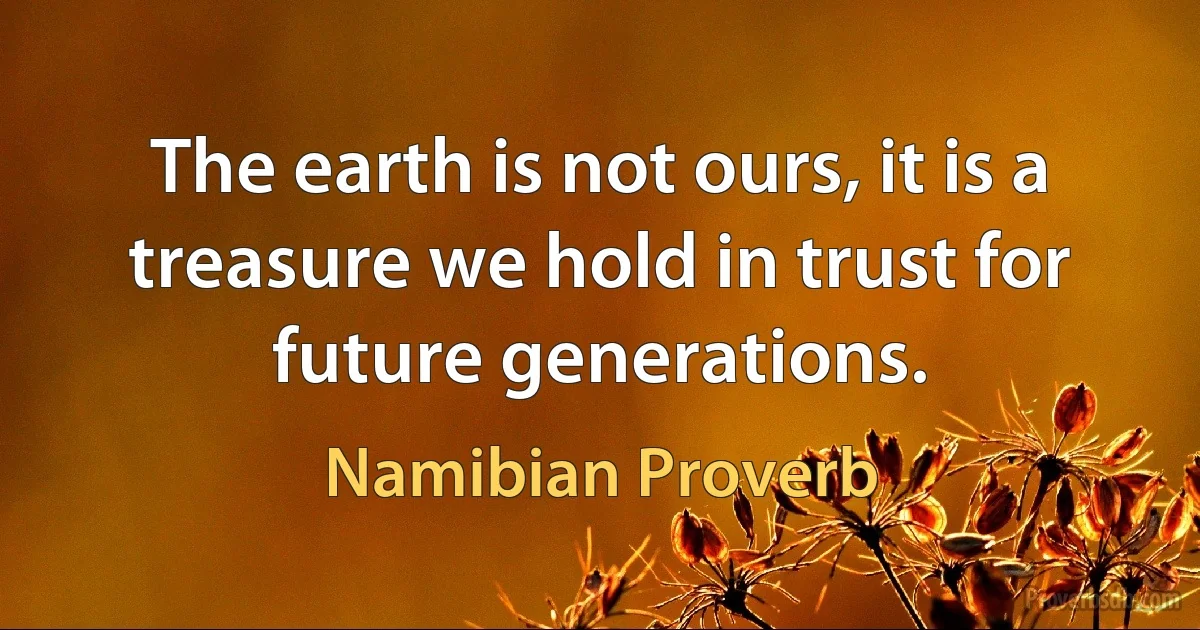 The earth is not ours, it is a treasure we hold in trust for future generations. (Namibian Proverb)