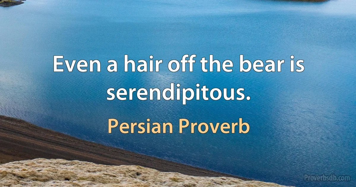 Even a hair off the bear is serendipitous. (Persian Proverb)