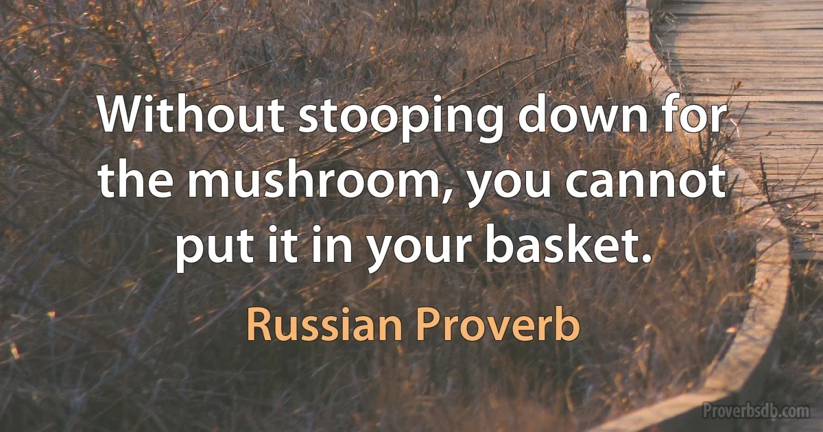 Without stooping down for the mushroom, you cannot put it in your basket. (Russian Proverb)