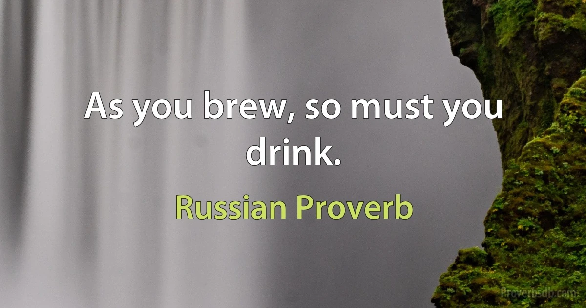 As you brew, so must you drink. (Russian Proverb)