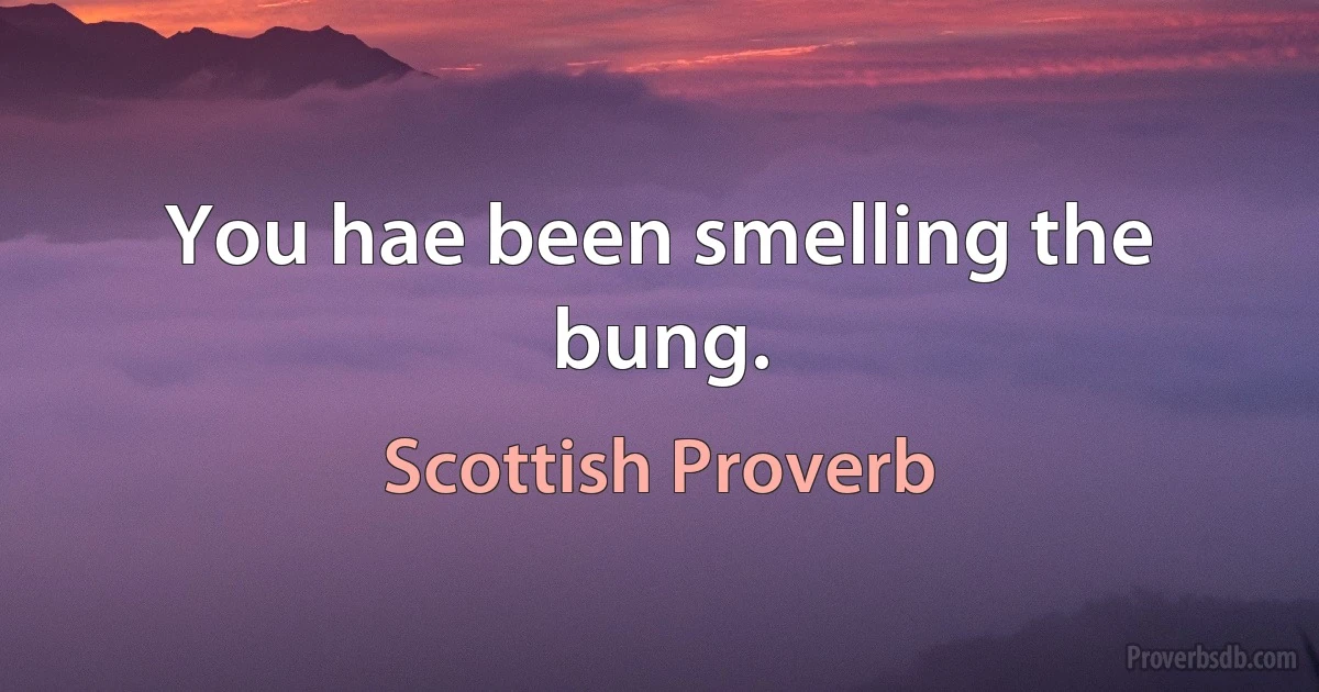 You hae been smelling the bung. (Scottish Proverb)