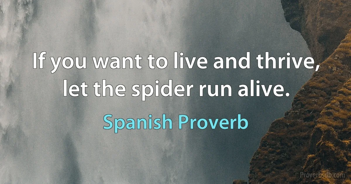 If you want to live and thrive, let the spider run alive. (Spanish Proverb)