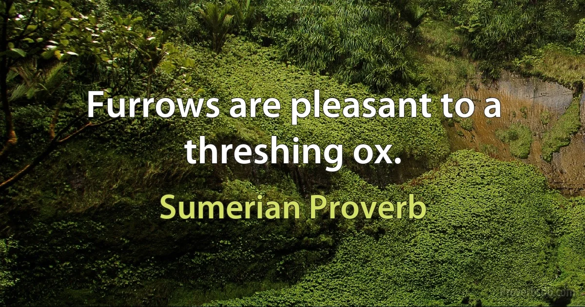 Furrows are pleasant to a threshing ox. (Sumerian Proverb)