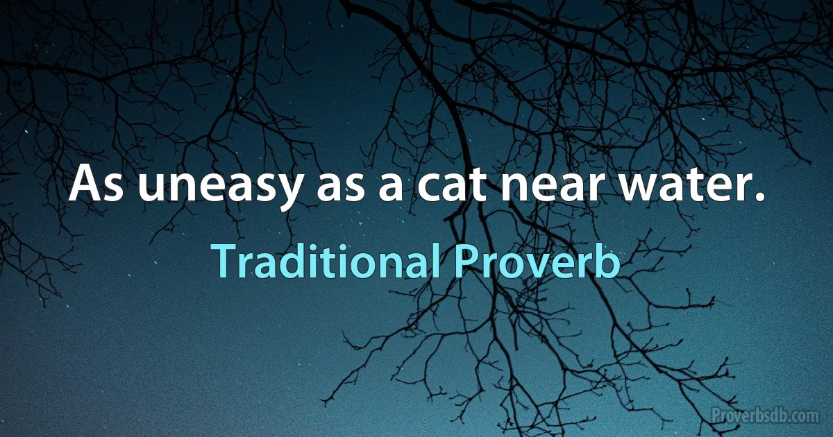 As uneasy as a cat near water. (Traditional Proverb)