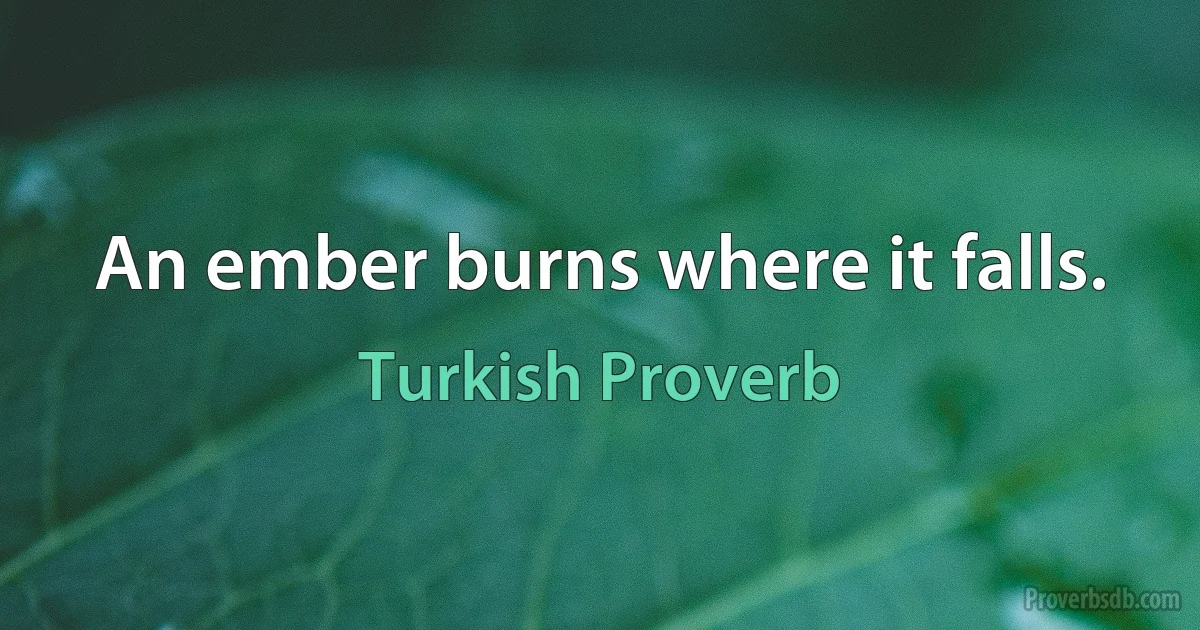 An ember burns where it falls. (Turkish Proverb)