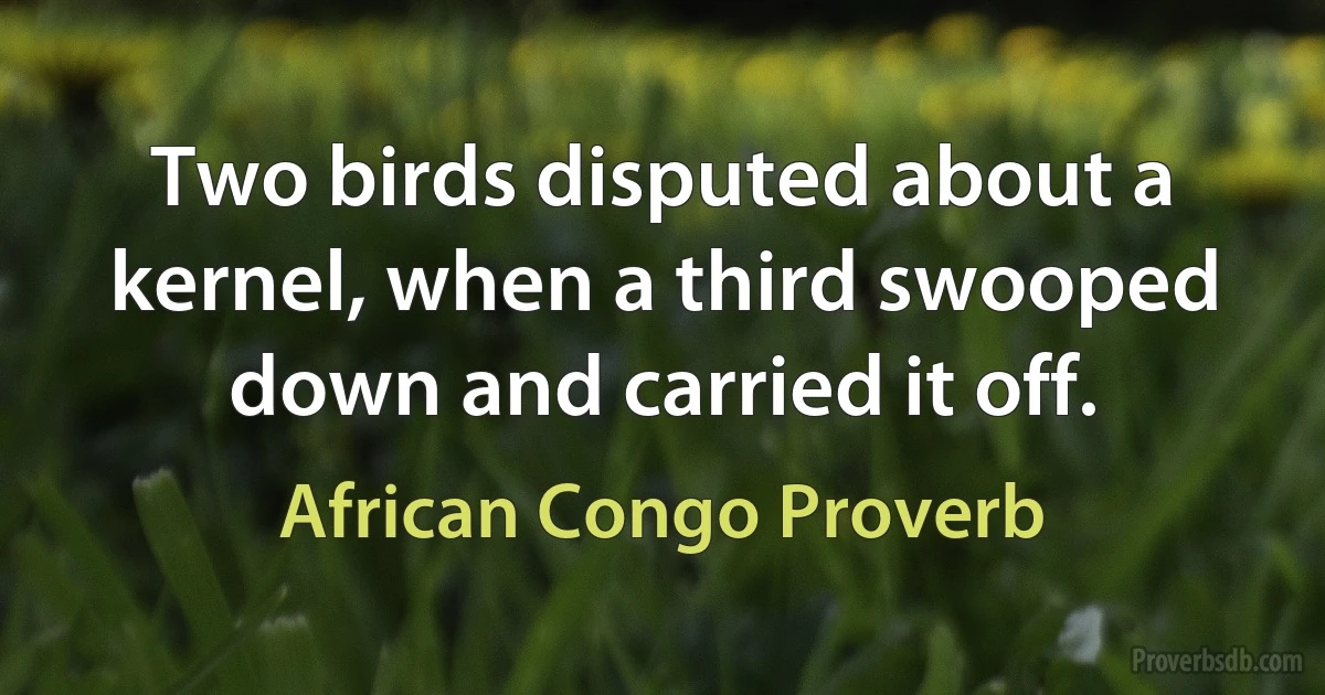 Two birds disputed about a kernel, when a third swooped down and carried it off. (African Congo Proverb)