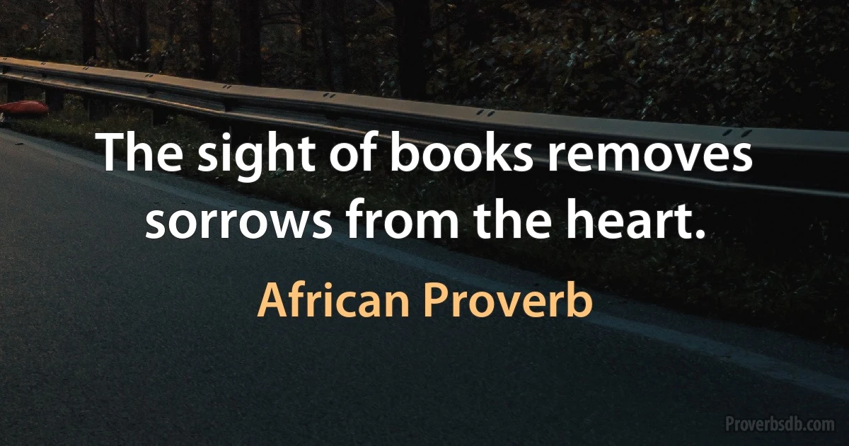 The sight of books removes sorrows from the heart. (African Proverb)