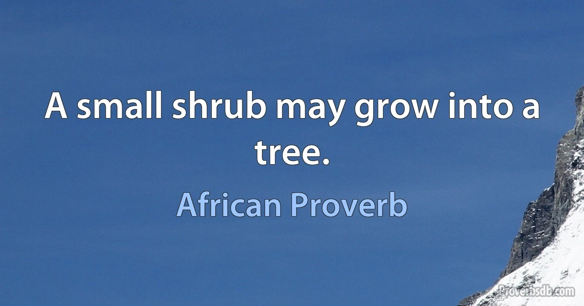 A small shrub may grow into a tree. (African Proverb)