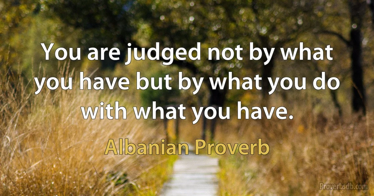 You are judged not by what you have but by what you do with what you have. (Albanian Proverb)